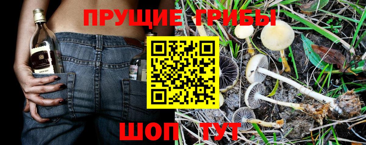 Псилоцибиновые грибы мухоморы  Вход с VPN  Барнаул 